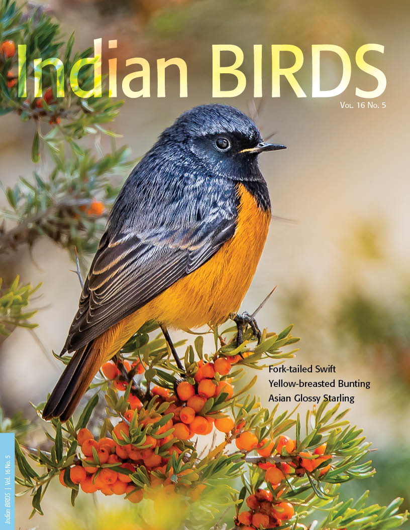 Indian Birds - New Ornis Foundation: A Non-profit Trust